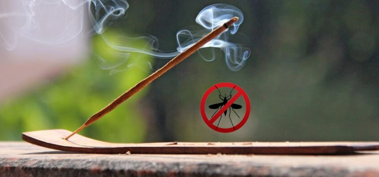 Best Mosquito Repellent Incense Sticks in 2024 – Ultimate Picks! 